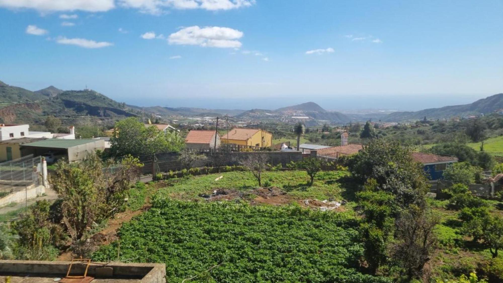 Amparo Villa *