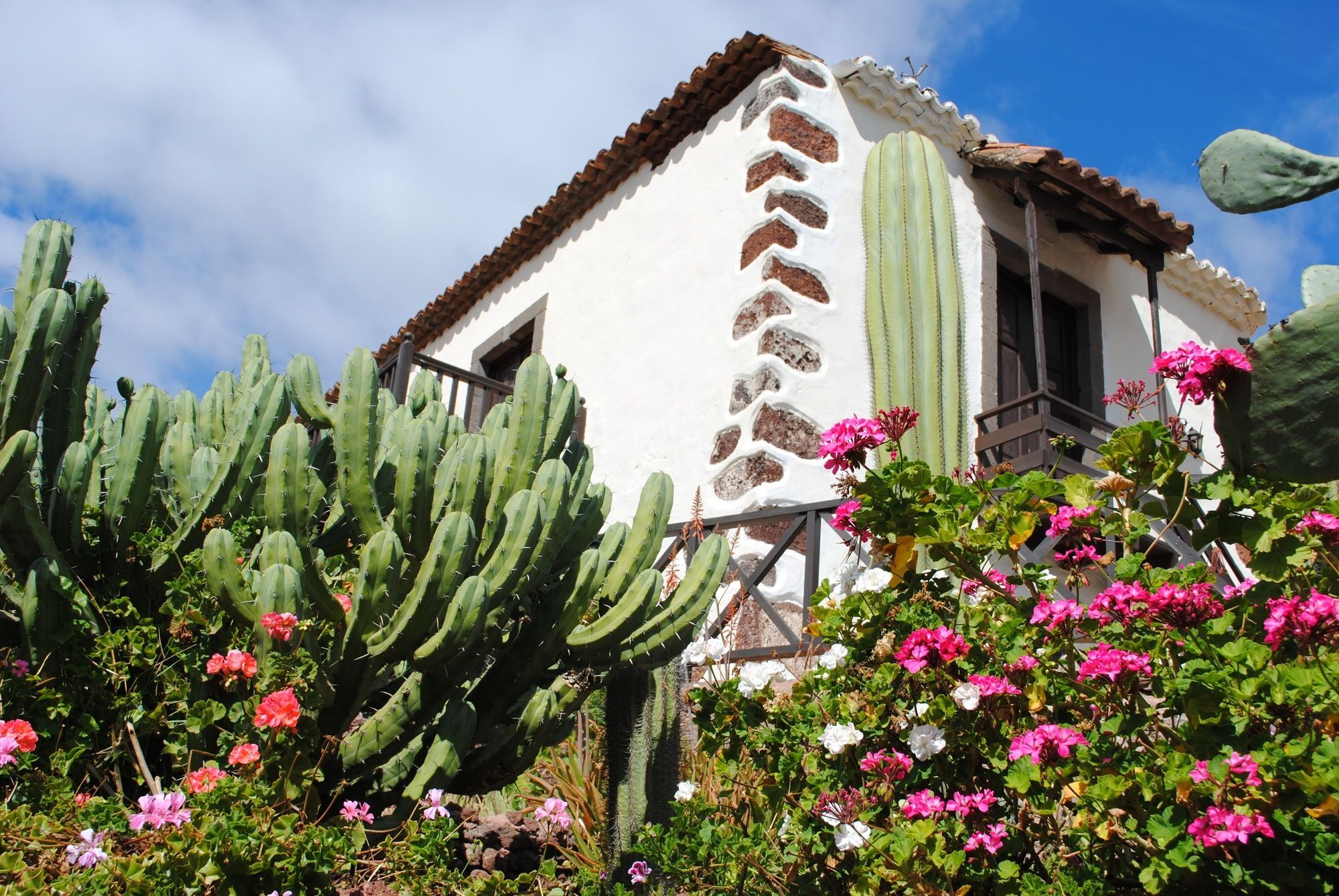 Apartamento El Olivar - Orujo Santa Lucía