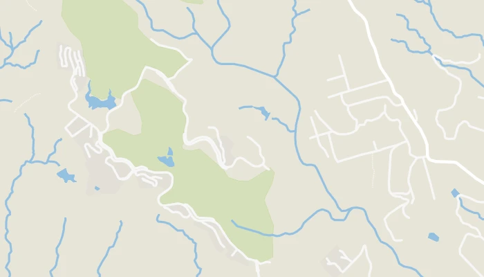 Térkép
