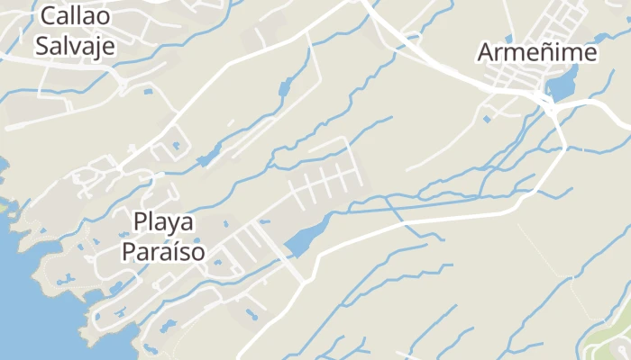 Χάρτης
